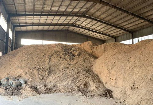 胶州木材市场一木粉加工厂 霸王 遭业主质疑